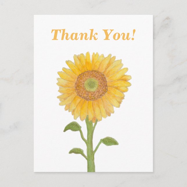 Watercolour Sunflower Thank You Postcards (Front)