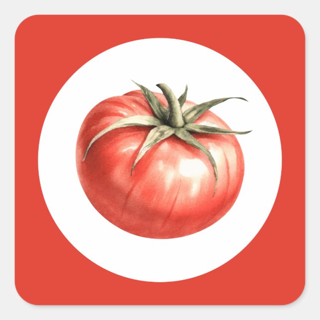Watercolour tomato illustration square sticker (Front)