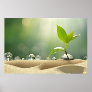 Waterdrop Plant Sand Tranquil Peaceful Poster