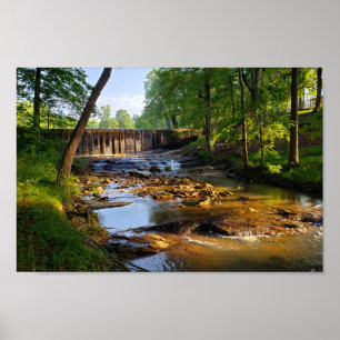 Waterfall and Stream in Central North Carolina Poster