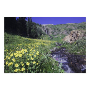 Waterfall and wildflowers in alpine meadow, 2 photo print