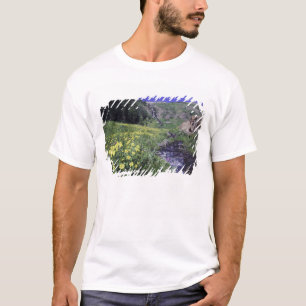 Waterfall and wildflowers in alpine meadow, 2 T-Shirt