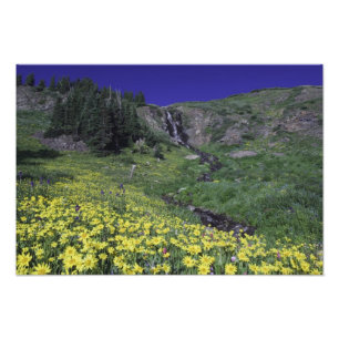 Waterfall and wildflowers in alpine meadow, 3 photo print