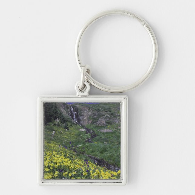 Waterfall and wildflowers in alpine meadow, key ring (Front)