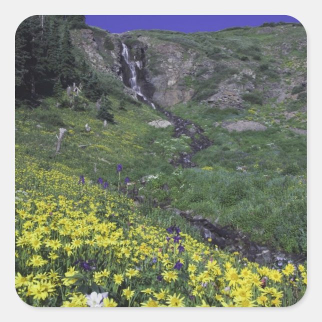 Waterfall and wildflowers in alpine meadow, square sticker (Front)