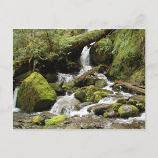 Waterfall at Lake Quinault Postcard