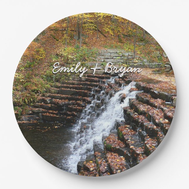 Waterfall at Laurel Hill State Park II Paper Plate (Front)