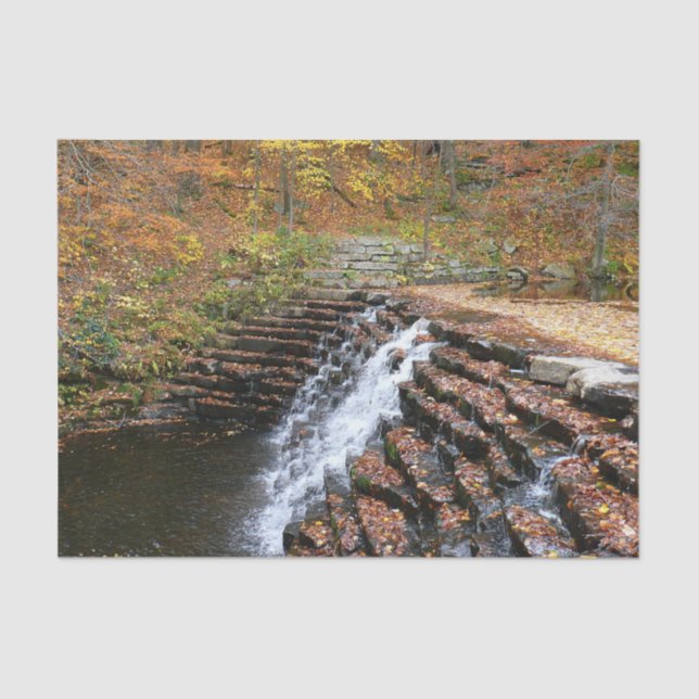 Waterfall at Laurel Hill State Park II Tissue Paper (Front)