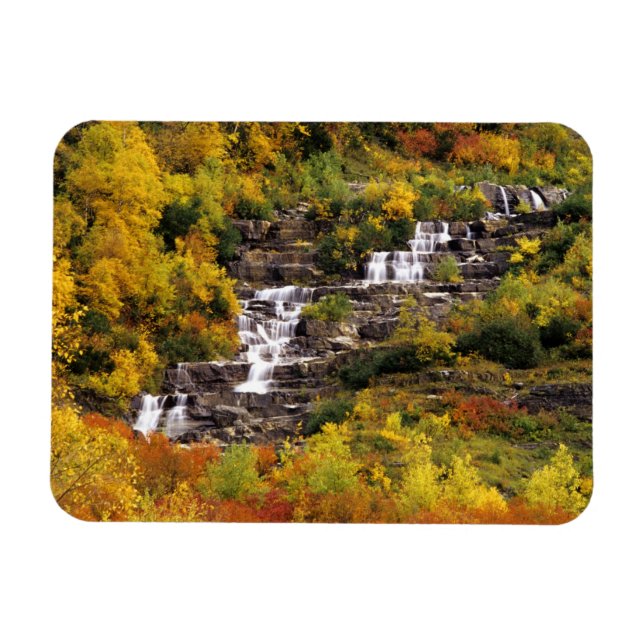 Waterfall below Mt Cannon in Glacier National Magnet (Horizontal)