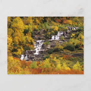 Waterfall below Mt Cannon in Glacier National Postcard
