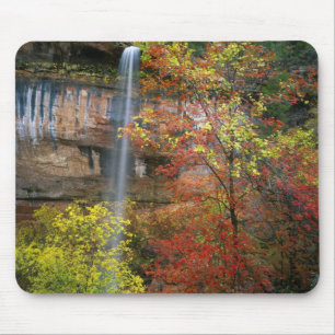 Waterfall, bigtooth maple Acer Mouse Pad