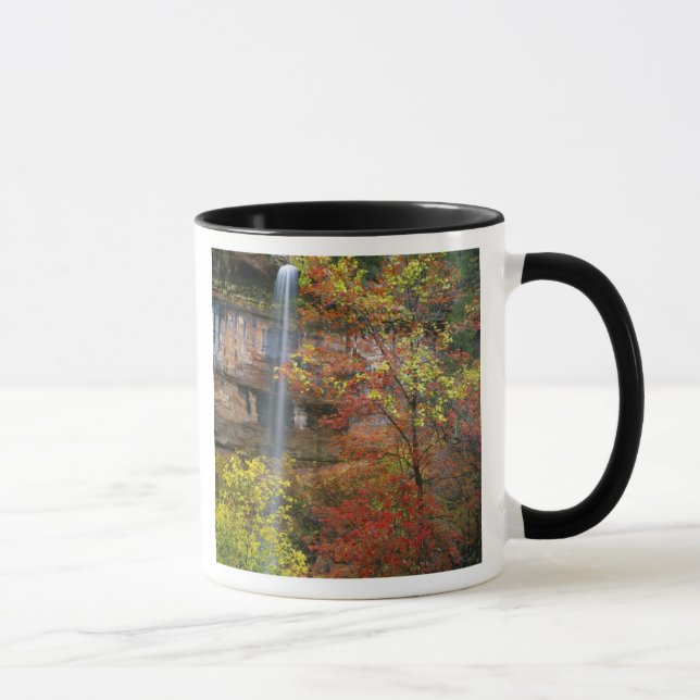 Waterfall, bigtooth maple Acer Mug (Right)