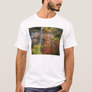 Waterfall, bigtooth maple Acer T-Shirt