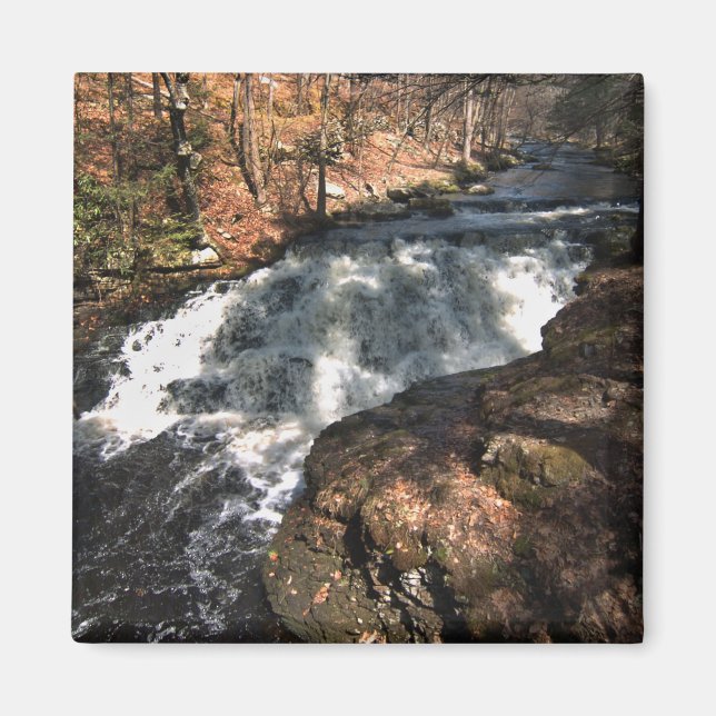 Waterfall - Bushkill Falls Magnet (Front)