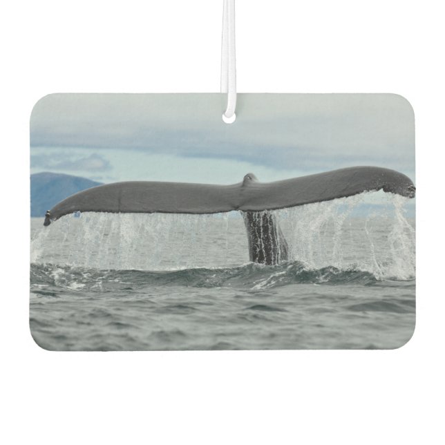 Waterfall Car Air Freshener (Front)