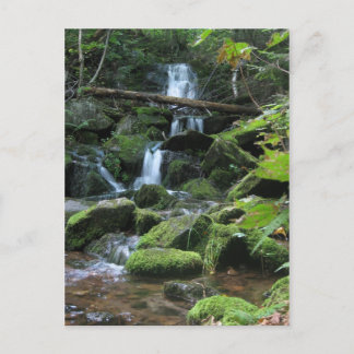 Waterfall cascade in lush forest landscape nature postcard