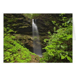 Waterfall falling into sink, Whiteoak Sink,