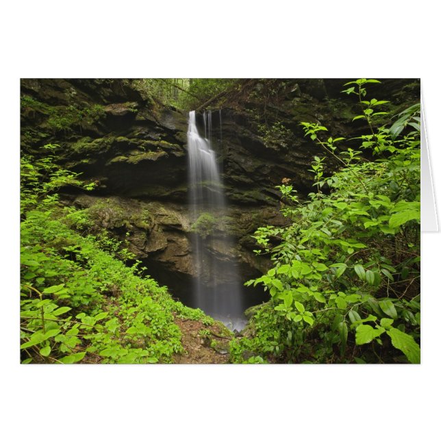 Waterfall falling into sink, Whiteoak Sink, (Front Horizontal)