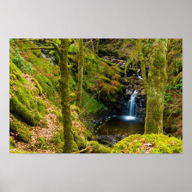 Waterfall in Argyll, Scotland Poster (Front)
