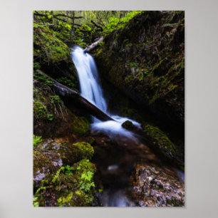 Waterfall in enchanted forest poster