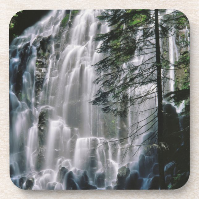 Waterfall in forest, Oregon Coaster (Front)