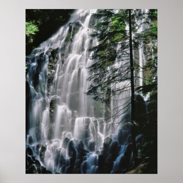 Waterfall in forest, Oregon Poster (Front)