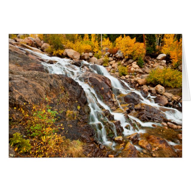 Waterfall In Grand Teton National Park (Front Horizontal)