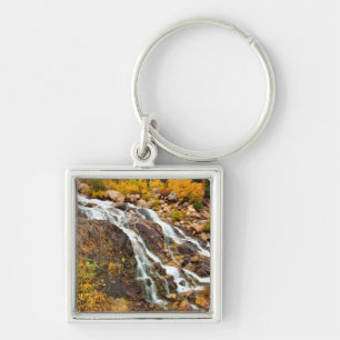 Waterfall In Grand Teton National Park Key Ring