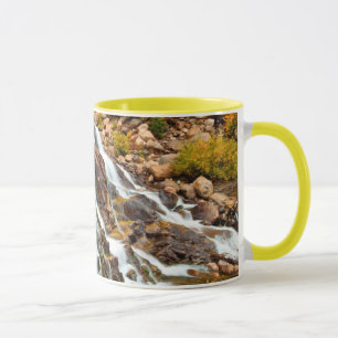 Waterfall In Grand Teton National Park Mug