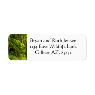 Waterfall in green return address label