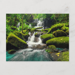 Waterfall in Jungle Phu Tub Berk Mountain Postcard