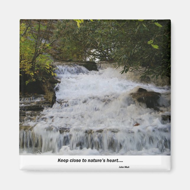 Waterfall in North Carolina Magnet (Front)