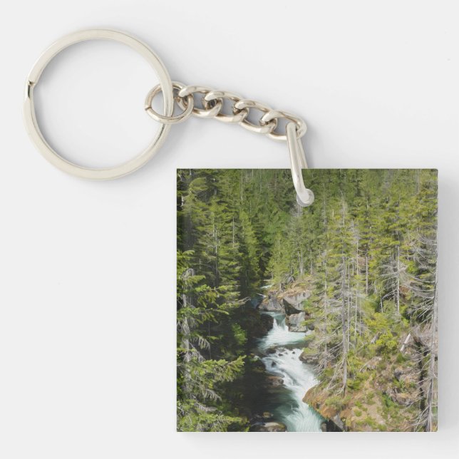 Waterfall in Olympic National Forest Key Ring (Front)