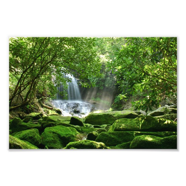 Waterfall in Rain Forest Photo Print (Front)