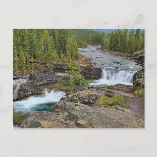 Waterfall In The Canadian Rocky Mountains Postcard (Front)