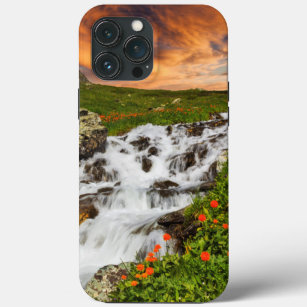 Waterfall in the Mountains with Flowers iPhone 13 Pro Max Case