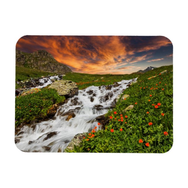 Waterfall in the Mountains with Flowers Magnet (Horizontal)