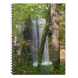 Waterfall In The Woods Notebook