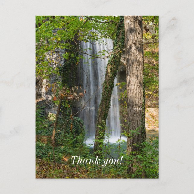 Waterfall In The Woods Postcard (Front)