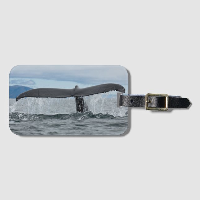 Waterfall Luggage Tag (Front Horizontal)
