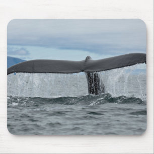 Waterfall Mouse Pad