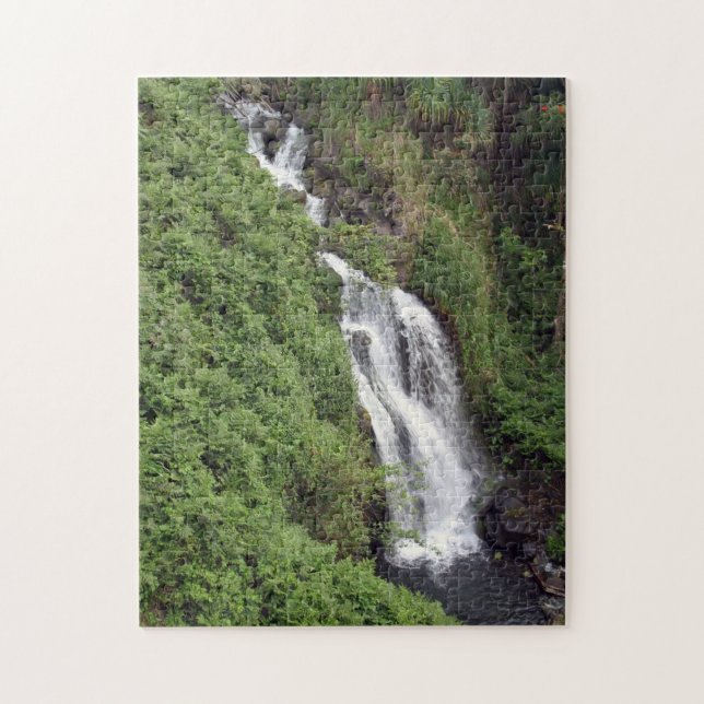 Waterfall Near Hilo, Hawaii Jigsaw Puzzle (Vertical)
