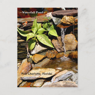 Waterfall pond Port Charlotte FL Postcard