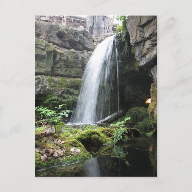 Waterfall Postcard (Front)