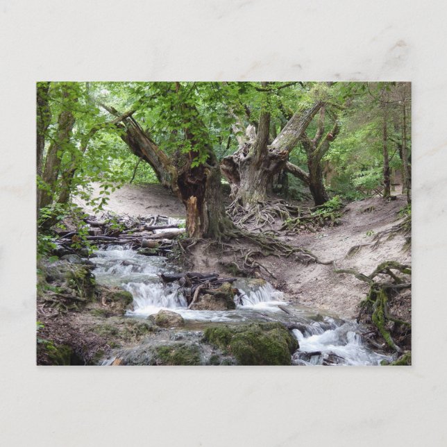 waterfall postcard (Front)