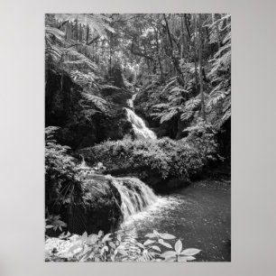 Waterfall Poster