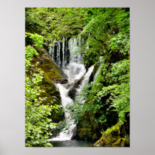 WATERFALL  POSTER