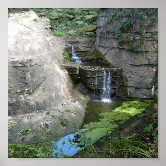 Waterfall Poster (Front)