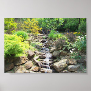Waterfall Poster