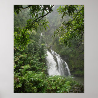 Waterfall Poster